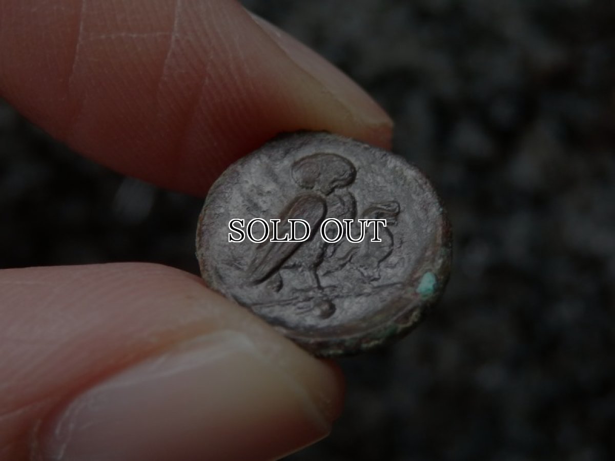 画像16: 古代ギリシャコイン(額装付き)　シチリア島　カマリナ　銅貨　前４１３－前４０５年　ゴルゴン　トカゲを捕まえるフクロウ (16)