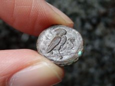 画像16: 古代ギリシャコイン(額装付き)　シチリア島　カマリナ　銅貨　前４１３－前４０５年　ゴルゴン　トカゲを捕まえるフクロウ (16)