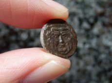 画像11: 古代ギリシャコイン(額装付き)　シチリア島　カマリナ　銅貨　前４１３－前４０５年　ゴルゴン　トカゲを捕まえるフクロウ (11)