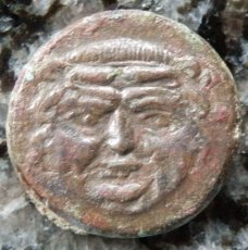 画像6: 古代ギリシャコイン(額装付き)　シチリア島　カマリナ　銅貨　前４１３－前４０５年　ゴルゴン　トカゲを捕まえるフクロウ (6)