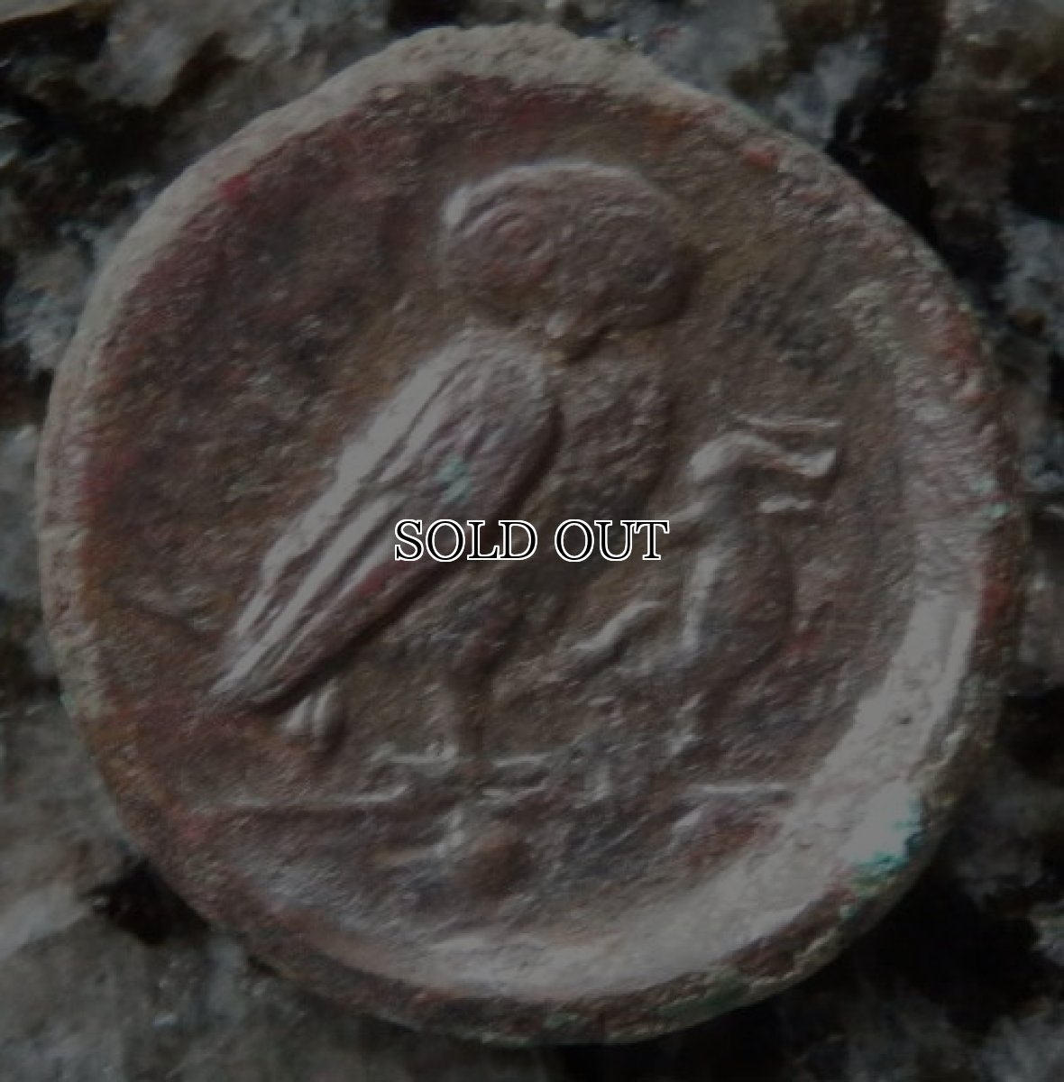 画像7: 古代ギリシャコイン(額装付き)　シチリア島　カマリナ　銅貨　前４１３－前４０５年　ゴルゴン　トカゲを捕まえるフクロウ (7)