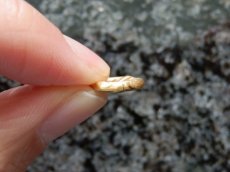 画像5: 古代ケルトコイン(額装付き)　ガリア・モリニー族　4分の1スタテル金貨　前７０－前５０年　古代ケルトの詩的なデザイン (5)