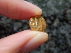 画像8: 古代ケルトコイン(額装付き)　ガリア・モリニー族　4分の1スタテル金貨　前７０－前５０年　古代ケルトの詩的なデザイン (8)