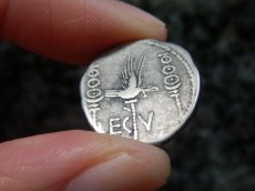 画像11: 古代ローマコイン　マルクス・アントニウス　前３２－前３１年　デナリウス銀貨　ガレー船　軍旗　アクティウムの海戦のコイン (11)