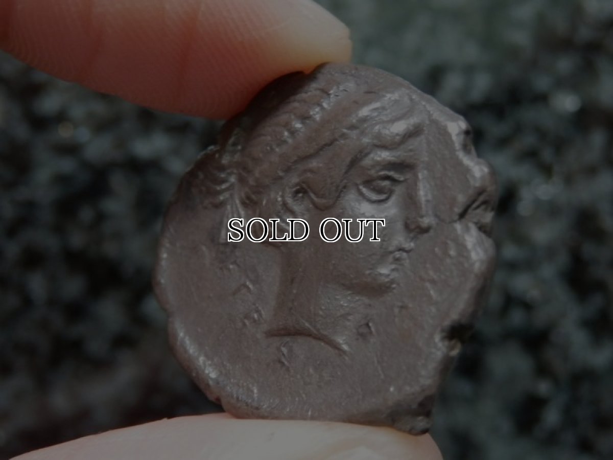 画像11: 古代ギリシャコイン(額装付き)　シチリア島　セジェスタ　ディドラクマ銀貨　前４１２－前４００年　頭を下げる犬　可憐なセジェスタのニンフ (11)