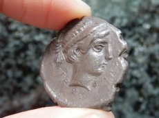 画像11: 古代ギリシャコイン(額装付き)　シチリア島　セジェスタ　ディドラクマ銀貨　前４１２－前４００年　頭を下げる犬　可憐なセジェスタのニンフ (11)