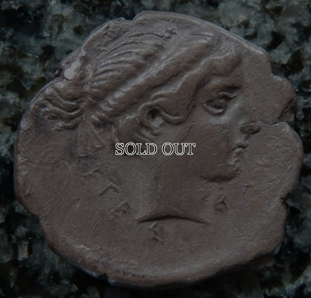 ギリシャコイン　シチリア島　セジェスタ　ディドラクマ銀貨　前5世紀　セジェスタのニンフ