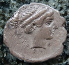 ギリシャコイン　シチリア島　セジェスタ　ディドラクマ銀貨　前5世紀　セジェスタのニンフ