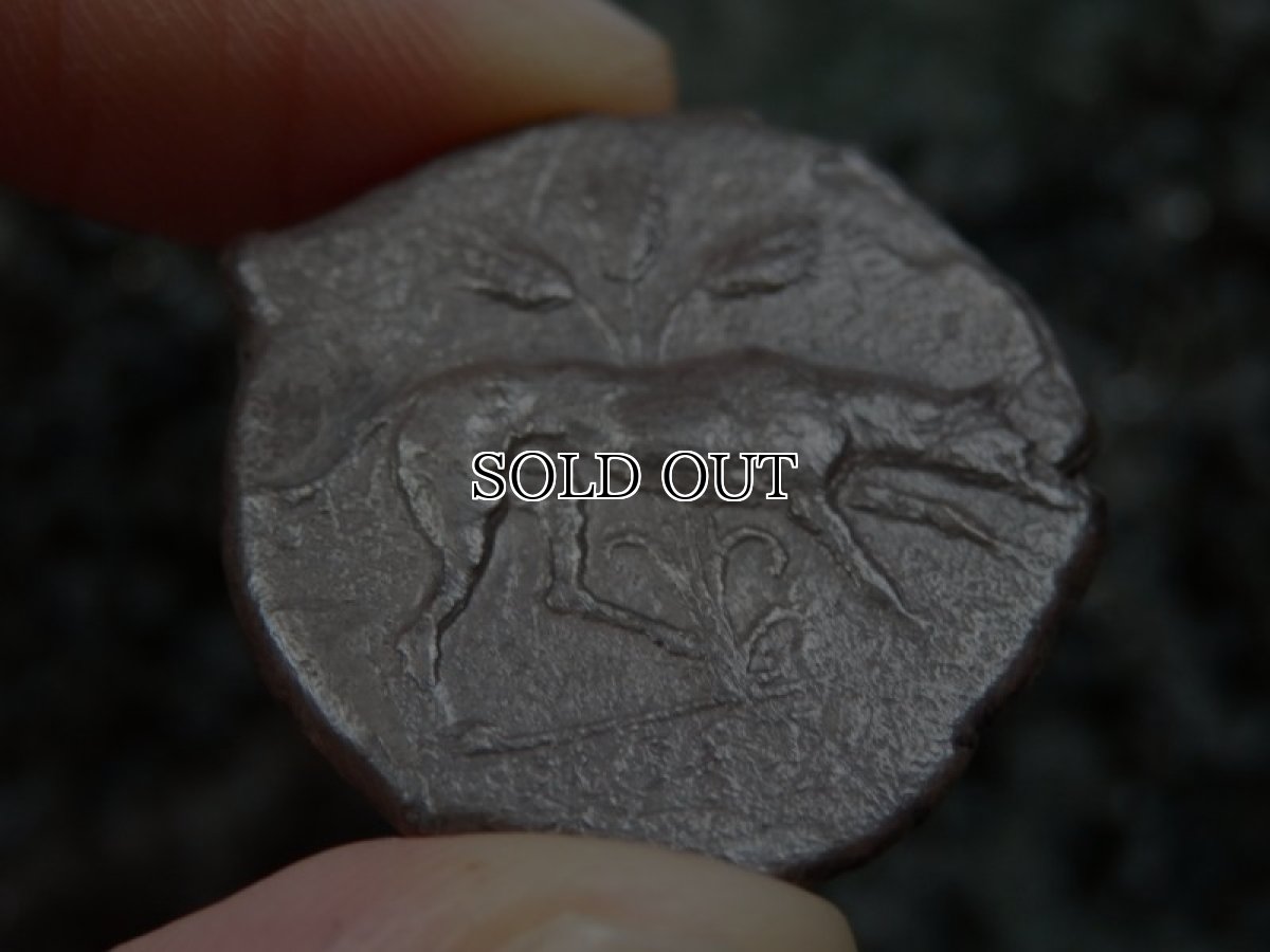 画像17: 古代ギリシャコイン(額装付き)　シチリア島　セジェスタ　ディドラクマ銀貨　前４１２－前４００年　頭を下げる犬　可憐なセジェスタのニンフ (17)