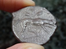 画像17: 古代ギリシャコイン(額装付き)　シチリア島　セジェスタ　ディドラクマ銀貨　前４１２－前４００年　頭を下げる犬　可憐なセジェスタのニンフ (17)