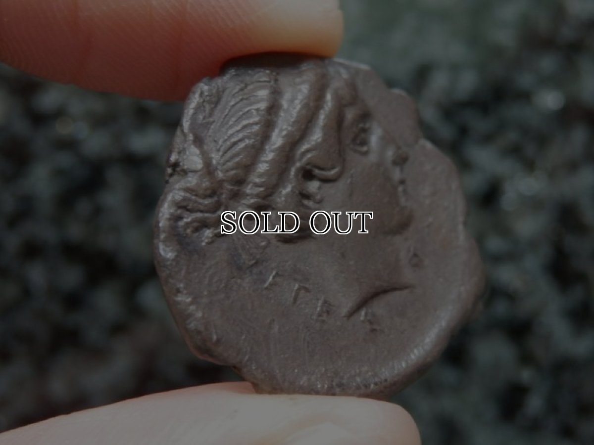 画像12: 古代ギリシャコイン(額装付き)　シチリア島　セジェスタ　ディドラクマ銀貨　前４１２－前４００年　頭を下げる犬　可憐なセジェスタのニンフ (12)