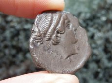 画像12: 古代ギリシャコイン(額装付き)　シチリア島　セジェスタ　ディドラクマ銀貨　前４１２－前４００年　頭を下げる犬　可憐なセジェスタのニンフ (12)