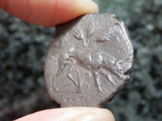 画像15: 古代ギリシャコイン(額装付き)　シチリア島　セジェスタ　ディドラクマ銀貨　前４１２－前４００年　頭を下げる犬　可憐なセジェスタのニンフ (15)
