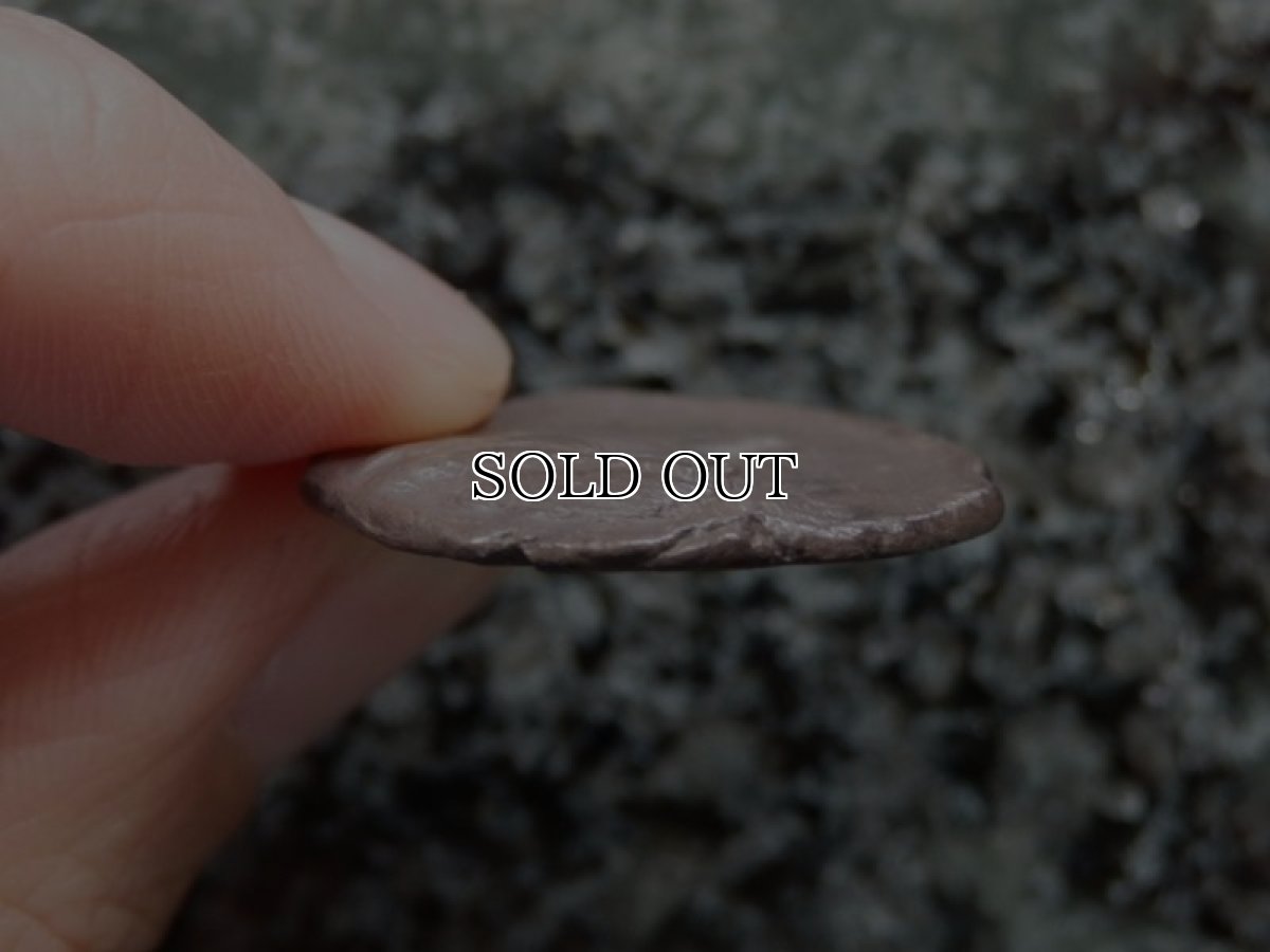 画像9: 古代ギリシャコイン(額装付き)　シチリア島　セジェスタ　ディドラクマ銀貨　前４１２－前４００年　頭を下げる犬　可憐なセジェスタのニンフ (9)