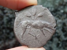 画像14: 古代ギリシャコイン(額装付き)　シチリア島　セジェスタ　ディドラクマ銀貨　前４１２－前４００年　頭を下げる犬　可憐なセジェスタのニンフ (14)