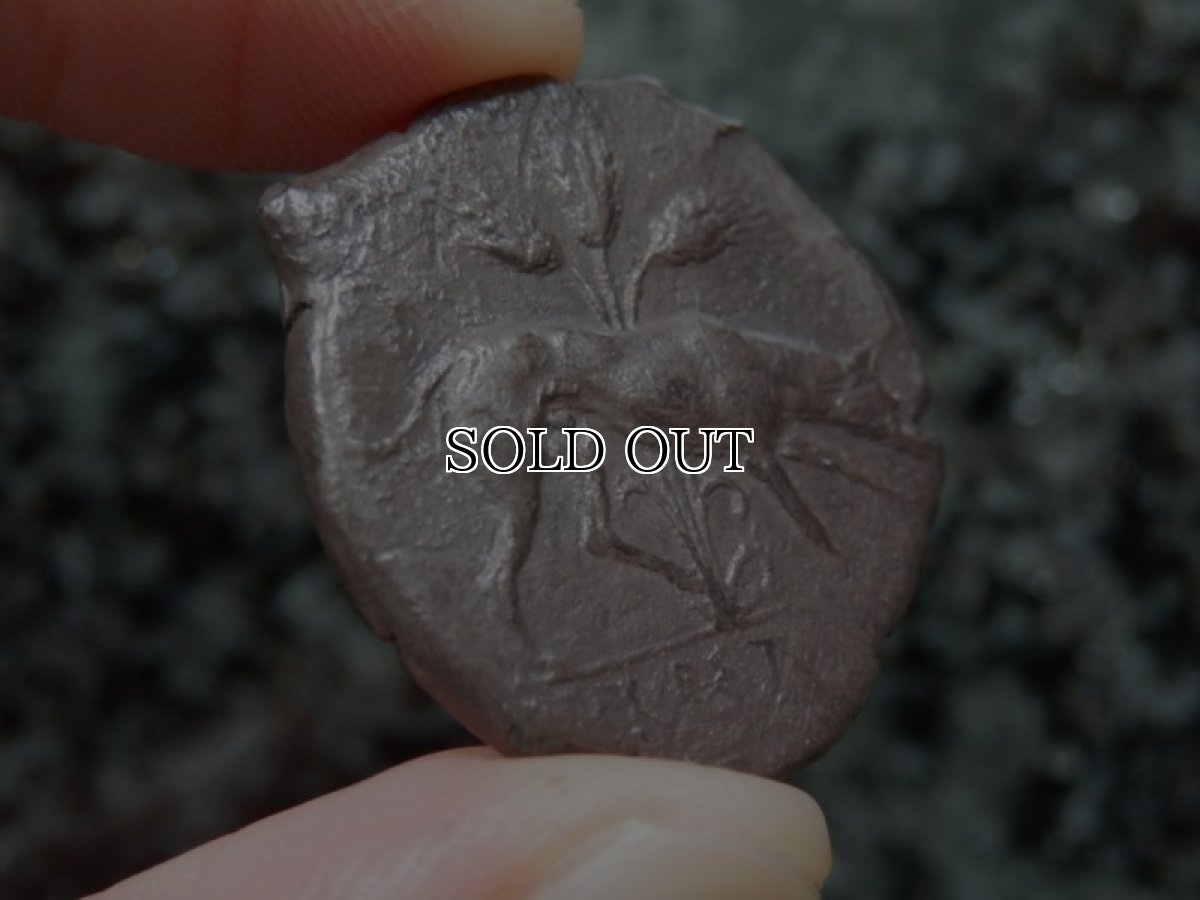 画像16: 古代ギリシャコイン(額装付き)　シチリア島　セジェスタ　ディドラクマ銀貨　前４１２－前４００年　頭を下げる犬　可憐なセジェスタのニンフ (16)