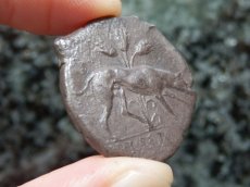 画像16: 古代ギリシャコイン(額装付き)　シチリア島　セジェスタ　ディドラクマ銀貨　前４１２－前４００年　頭を下げる犬　可憐なセジェスタのニンフ (16)