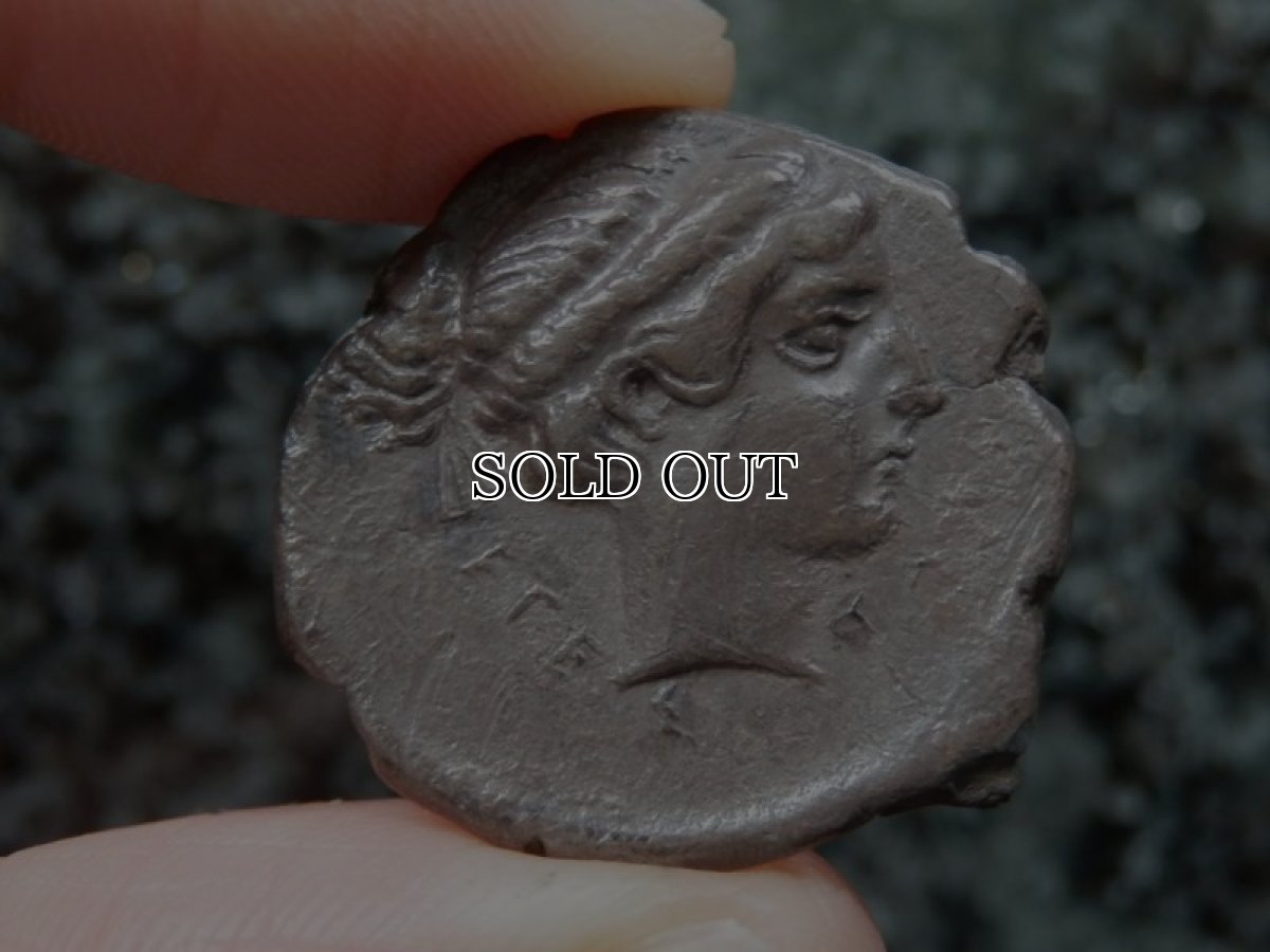 画像10: 古代ギリシャコイン(額装付き)　シチリア島　セジェスタ　ディドラクマ銀貨　前４１２－前４００年　頭を下げる犬　可憐なセジェスタのニンフ (10)