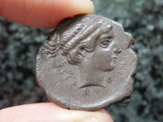 画像10: 古代ギリシャコイン(額装付き)　シチリア島　セジェスタ　ディドラクマ銀貨　前４１２－前４００年　頭を下げる犬　可憐なセジェスタのニンフ (10)