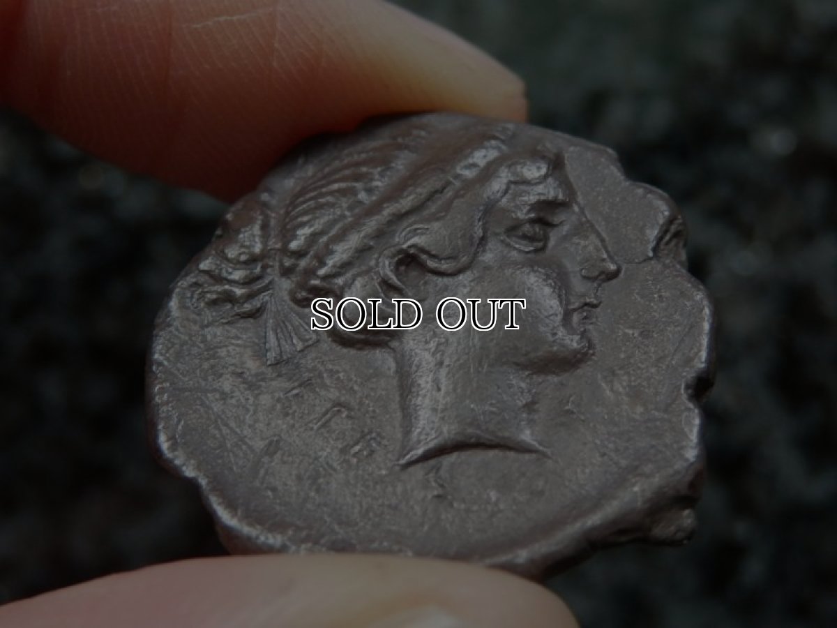 画像13: 古代ギリシャコイン(額装付き)　シチリア島　セジェスタ　ディドラクマ銀貨　前４１２－前４００年　頭を下げる犬　可憐なセジェスタのニンフ (13)