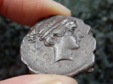 画像13: 古代ギリシャコイン(額装付き)　シチリア島　セジェスタ　ディドラクマ銀貨　前４１２－前４００年　頭を下げる犬　可憐なセジェスタのニンフ (13)