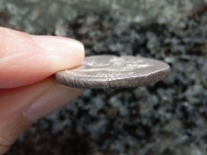 画像9: 古代ギリシャコイン(額装付き)　キリキア地方タルソス　スタテル銀貨　前３６１－前３３４年　バール神(農耕の神)の座像　牛を襲うライオン (9)