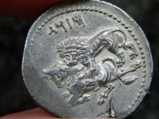 画像14: 古代ギリシャコイン(額装付き)　キリキア地方タルソス　スタテル銀貨　前３６１－前３３４年　バール神(農耕の神)の座像　牛を襲うライオン (14)