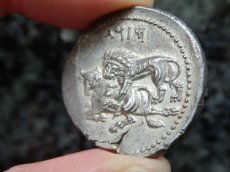 画像11: 古代ギリシャコイン(額装付き)　キリキア地方タルソス　スタテル銀貨　前３６１－前３３４年　バール神(農耕の神)の座像　牛を襲うライオン (11)