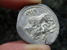 画像12: 古代ギリシャコイン(額装付き)　キリキア地方タルソス　スタテル銀貨　前３６１－前３３４年　バール神(農耕の神)の座像　牛を襲うライオン (12)