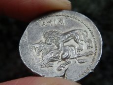 画像13: 古代ギリシャコイン(額装付き)　キリキア地方タルソス　スタテル銀貨　前３６１－前３３４年　バール神(農耕の神)の座像　牛を襲うライオン (13)