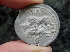 画像10: 古代ギリシャコイン(額装付き)　キリキア地方タルソス　スタテル銀貨　前３６１－前３３４年　バール神(農耕の神)の座像　牛を襲うライオン (10)