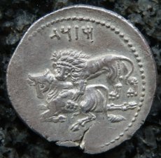 ギリシャコイン　キリキア・タルソス　スタテル銀貨　前4世紀　バール神(農耕の神)の座像　牛を襲うライオン