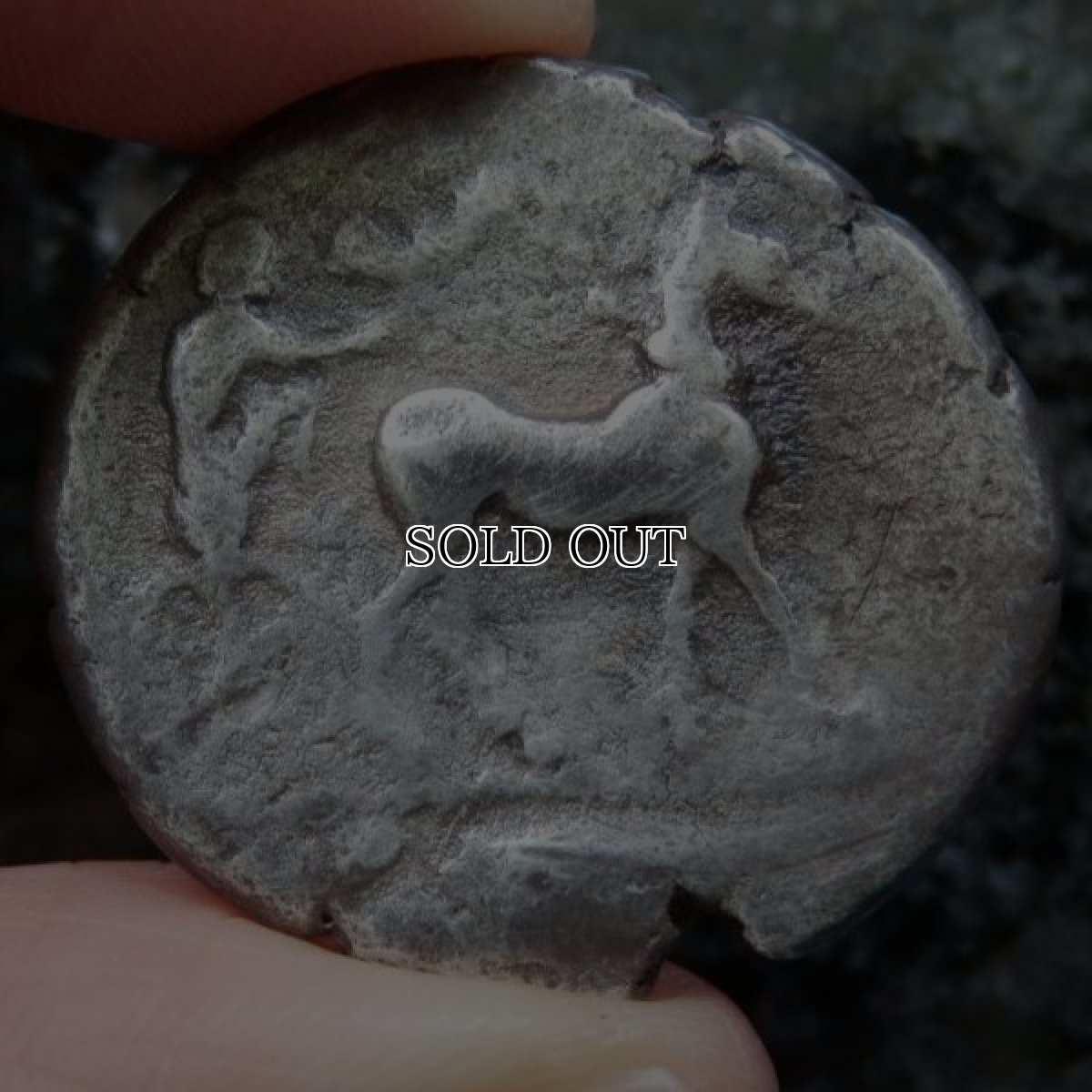 画像9: 古代ギリシャコイン(額装付き)　シチリア島・メッセナ　テトラドラクマ銀貨　前４８０－前４６１年　僭主アナクシラスの古代オリンピック優勝を表す意匠 (9)