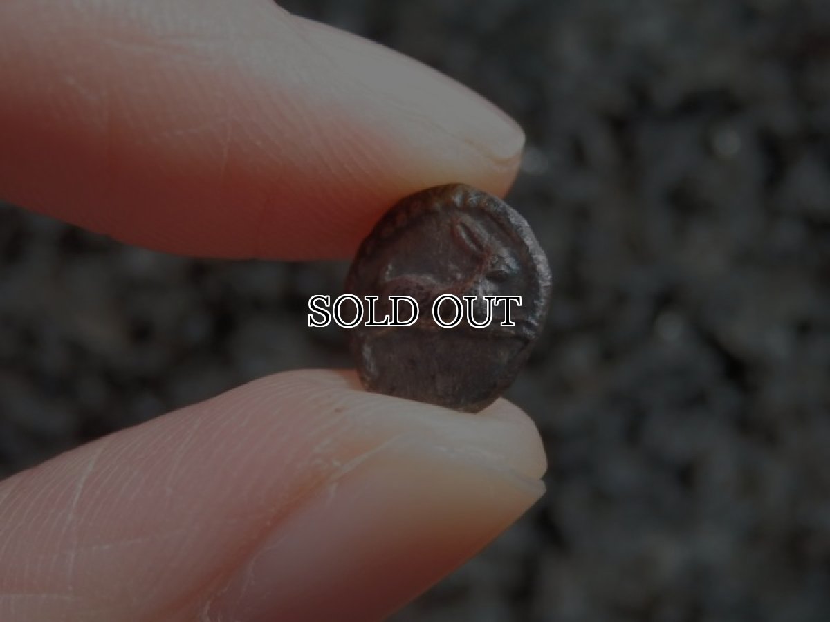 画像10: 古代ギリシャコイン(額装付き)　ブルッティウム・レギウム　前　銀貨　駆けるウサギ　鏡文字 (10)