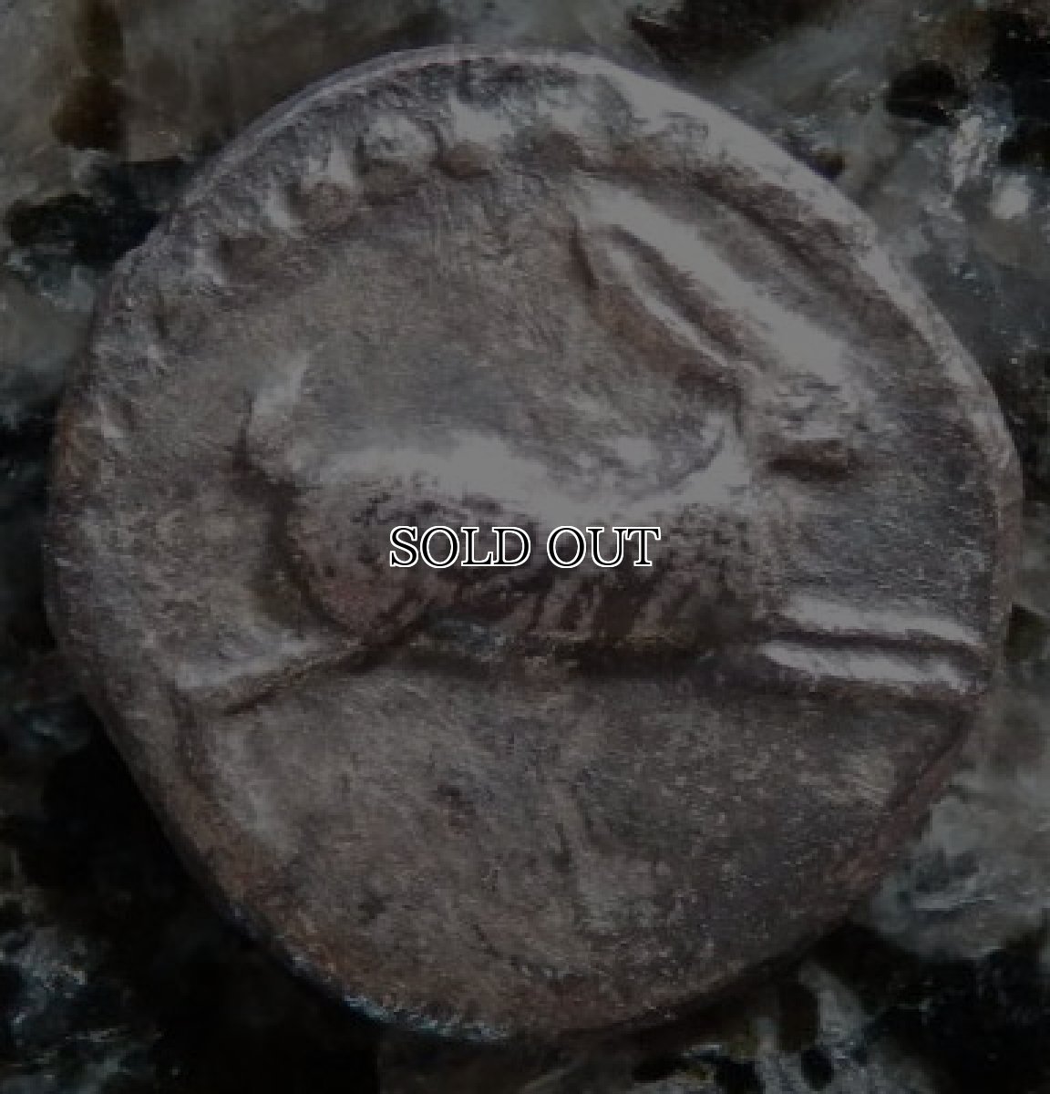 ギリシャコイン　ブルッティウム・レギウム　前5世紀　銀貨　駆けるウサギ　鏡文字