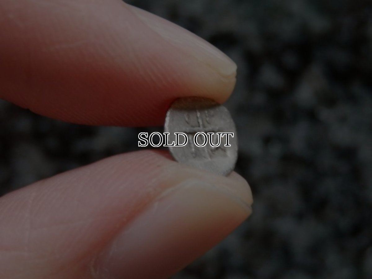 画像16: 古代ギリシャコイン(額装付き)　マケドニア　トラジロス　銀貨　前４５０－前４１０年　ブドウの房 (16)