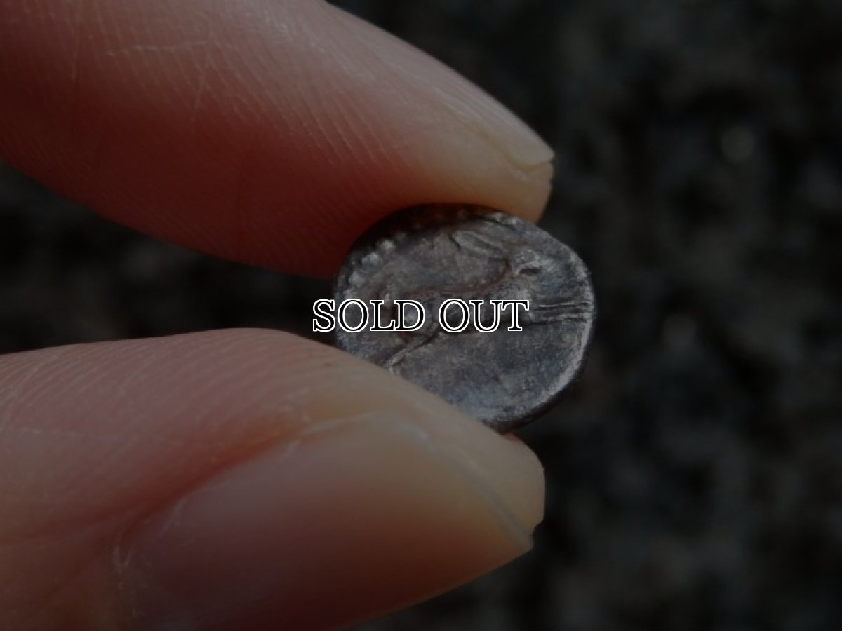 画像12: 古代ギリシャコイン(額装付き)　ブルッティウム・レギウム　前　銀貨　駆けるウサギ　鏡文字 (12)