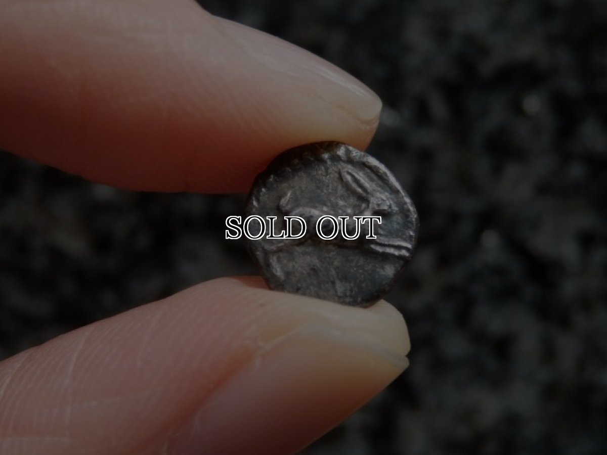 画像9: 古代ギリシャコイン(額装付き)　ブルッティウム・レギウム　前　銀貨　駆けるウサギ　鏡文字 (9)