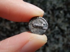 画像9: 古代ギリシャコイン(額装付き)　ブルッティウム・レギウム　前　銀貨　駆けるウサギ　鏡文字 (9)