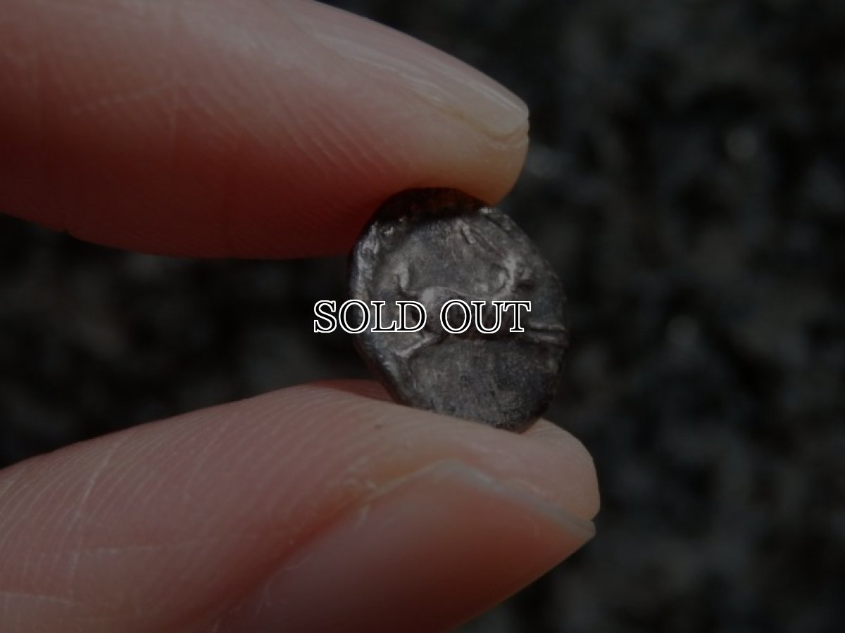 画像11: 古代ギリシャコイン(額装付き)　ブルッティウム・レギウム　前　銀貨　駆けるウサギ　鏡文字 (11)