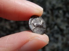 画像11: 古代ギリシャコイン(額装付き)　ブルッティウム・レギウム　前　銀貨　駆けるウサギ　鏡文字 (11)