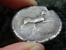 画像16: 古代ギリシャコイン(額装付き)　シチリア島・メッセナ　テトラドラクマ銀貨　前４８０－前４６１年　僭主アナクシラスの古代オリンピック優勝を表す意匠 (16)
