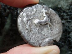 画像11: 古代ギリシャコイン(額装付き)　シチリア島・メッセナ　テトラドラクマ銀貨　前４８０－前４６１年　僭主アナクシラスの古代オリンピック優勝を表す意匠 (11)