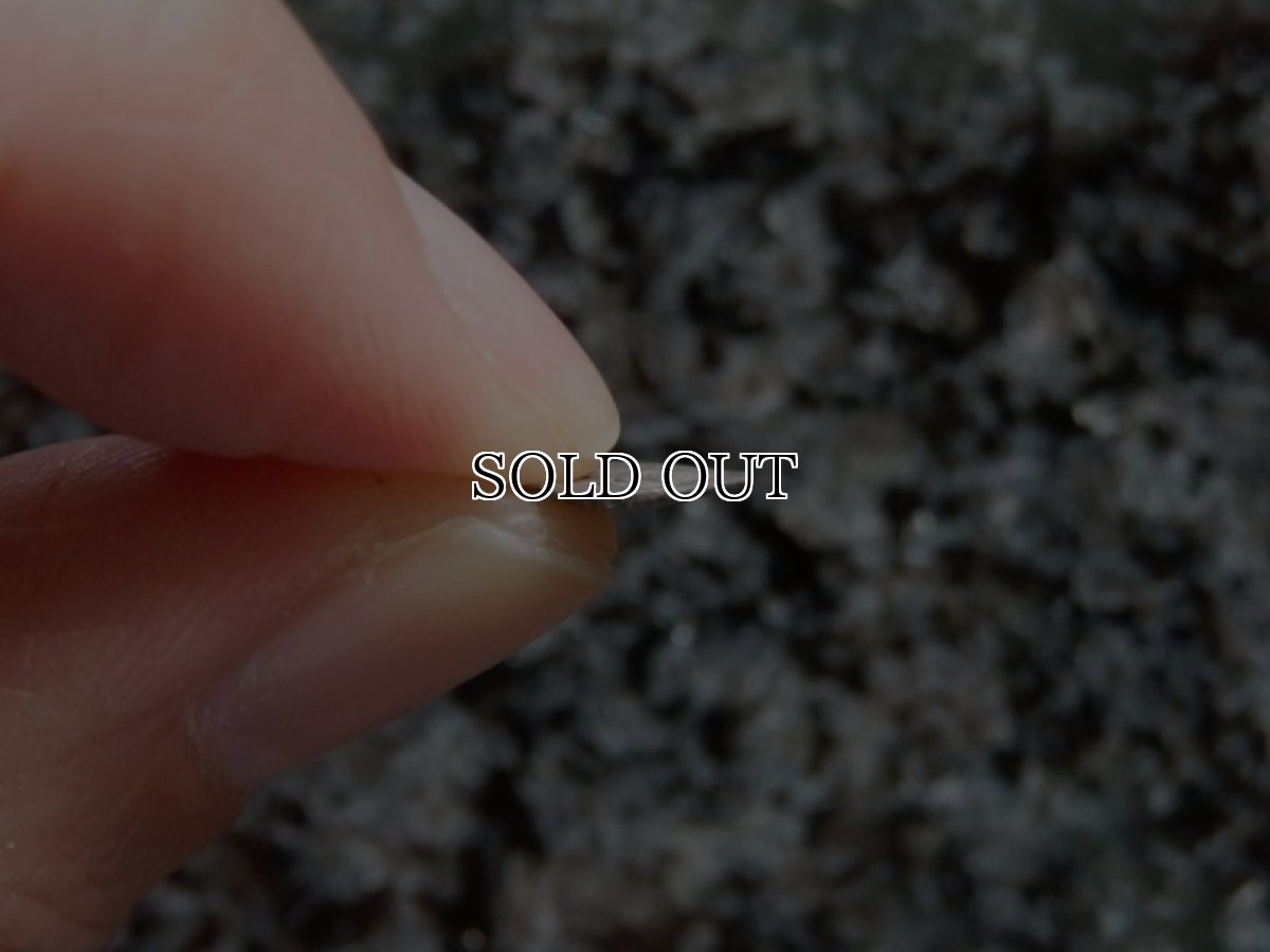 画像9: 古代ギリシャコイン(額装付き)　マケドニア　トラジロス　銀貨　前４５０－前４１０年　ブドウの房 (9)