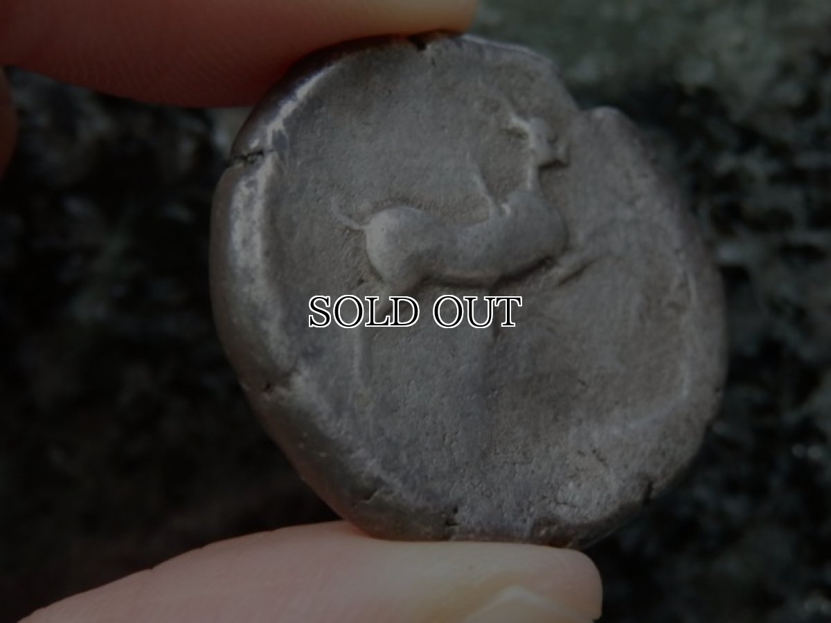 画像15: 古代ギリシャコイン(額装付き)　シチリア島・メッセナ　テトラドラクマ銀貨　前４８０－前４６１年　僭主アナクシラスの古代オリンピック優勝を表す意匠 (15)