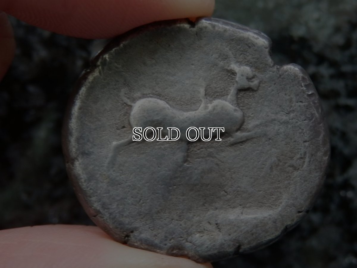 画像13: 古代ギリシャコイン(額装付き)　シチリア島・メッセナ　テトラドラクマ銀貨　前４８０－前４６１年　僭主アナクシラスの古代オリンピック優勝を表す意匠 (13)