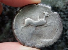 画像13: 古代ギリシャコイン(額装付き)　シチリア島・メッセナ　テトラドラクマ銀貨　前４８０－前４６１年　僭主アナクシラスの古代オリンピック優勝を表す意匠 (13)