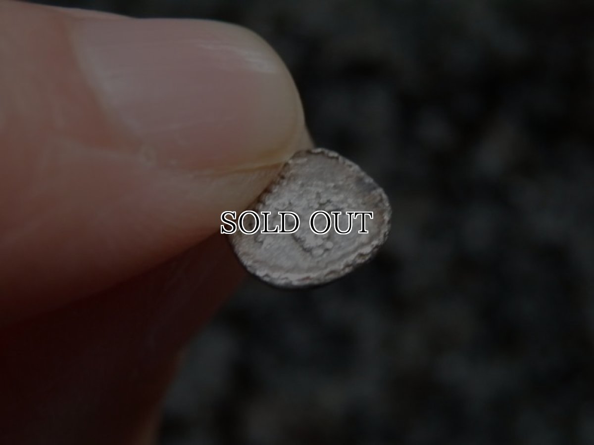 画像13: 古代ギリシャコイン(額装付き)　マケドニア　トラジロス　銀貨　前４５０－前４１０年　ブドウの房 (13)