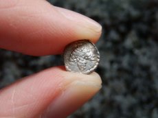 画像10: 古代ギリシャコイン(額装付き)　マケドニア　トラジロス　銀貨　前４５０－前４１０年　ブドウの房 (10)
