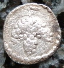 ギリシャコイン　マケドニア・トラジロス　ヘミオボル銀貨　前5世紀　ブドウの房
